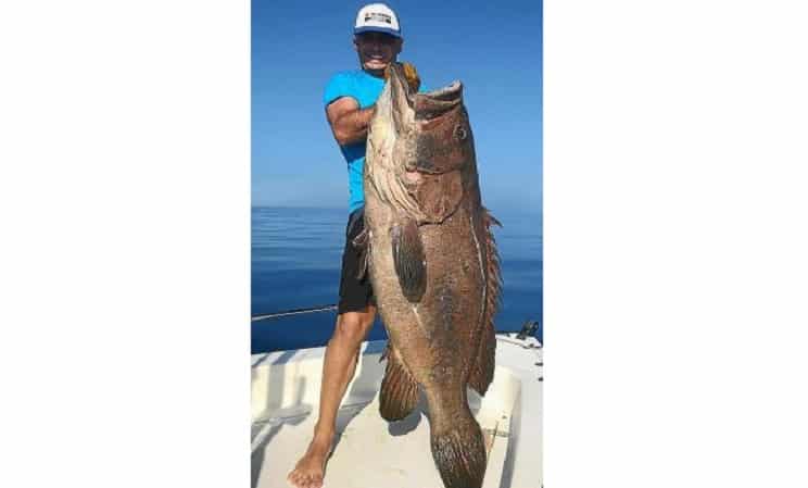 http://stag1.revistajaraysedal.es///wp-content/uploads/2021/08/pesca-galicia-puerto.jpg