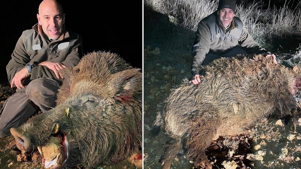 http://stag1.revistajaraysedal.es///wp-content/uploads/2021/08/pesca-galicia-puerto.jpg
