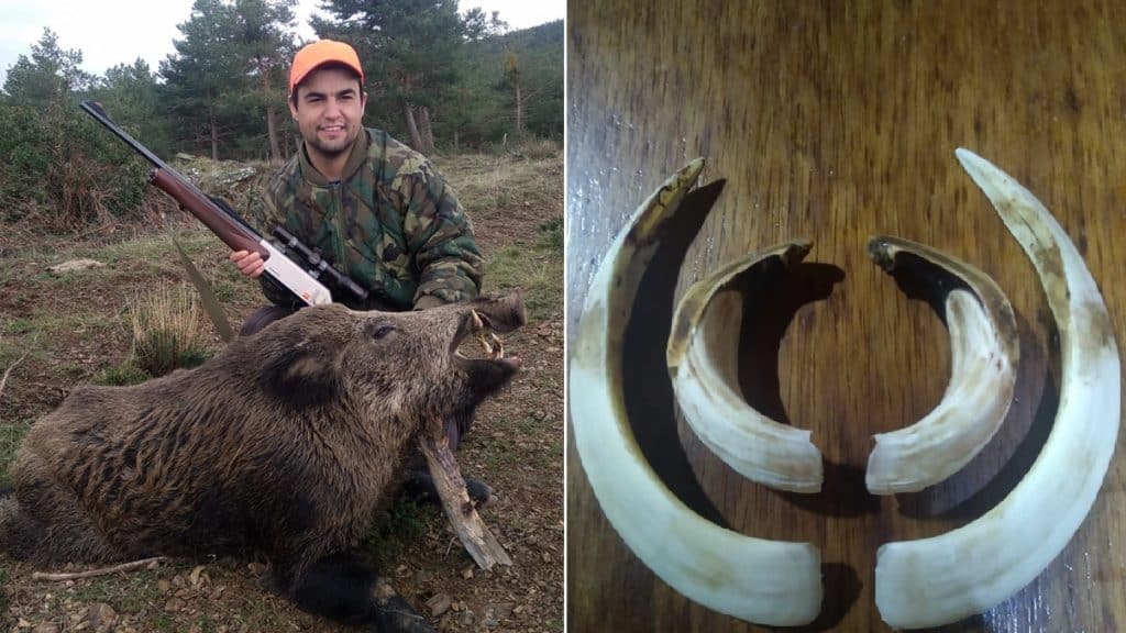 http://stag1.revistajaraysedal.es///wp-content/uploads/2021/08/pesca-galicia-puerto.jpg