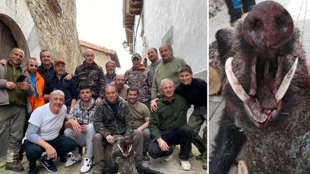http://stag1.revistajaraysedal.es///wp-content/uploads/2021/08/pesca-galicia-puerto.jpg