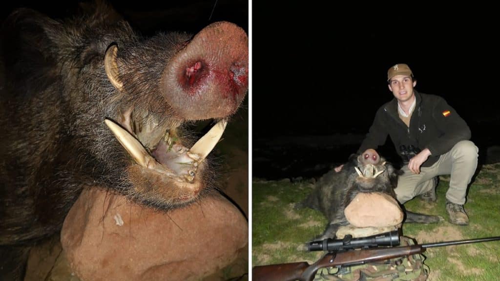 http://stag1.revistajaraysedal.es///wp-content/uploads/2021/08/pesca-galicia-puerto.jpg