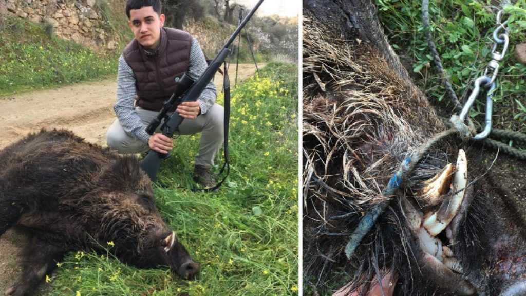 http://stag1.revistajaraysedal.es///wp-content/uploads/2021/08/pesca-galicia-puerto.jpg