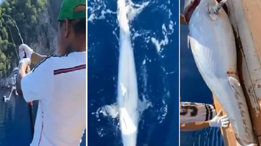 http://stag1.revistajaraysedal.es///wp-content/uploads/2021/08/pesca-galicia-puerto.jpg