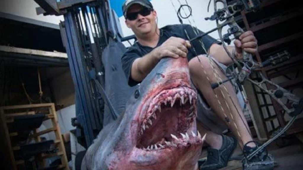 http://stag1.revistajaraysedal.es///wp-content/uploads/2021/08/pesca-galicia-puerto.jpg