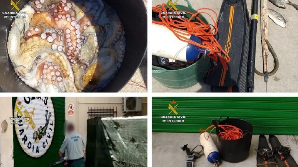 http://stag1.revistajaraysedal.es///wp-content/uploads/2021/08/pesca-galicia-puerto.jpg