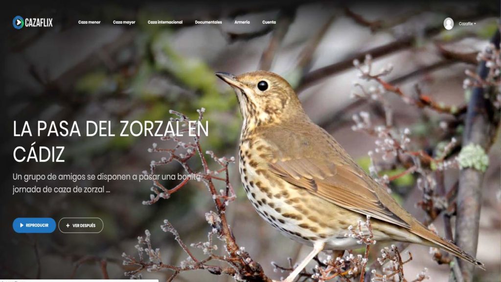 http://stag1.revistajaraysedal.es///wp-content/uploads/2021/08/pesca-galicia-puerto.jpg