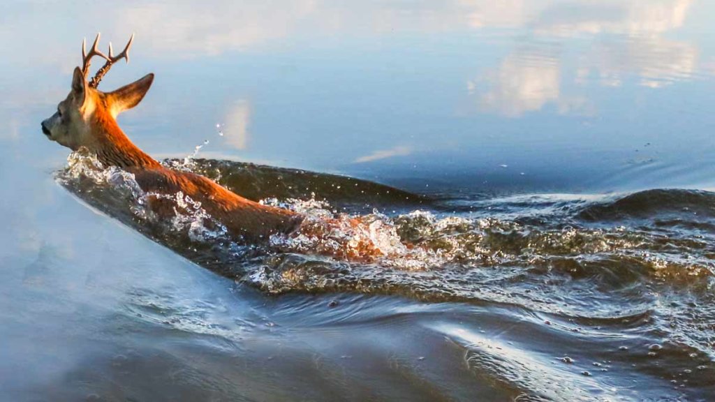 https://revistajaraysedal.es/wp-content/uploads/2021/08/pesca-galicia-puerto.jpg