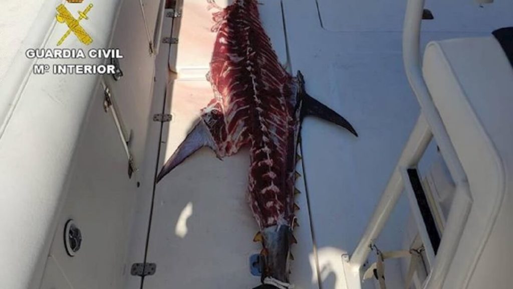 https://revistajaraysedal.es/wp-content/uploads/2021/08/pesca-galicia-puerto.jpg