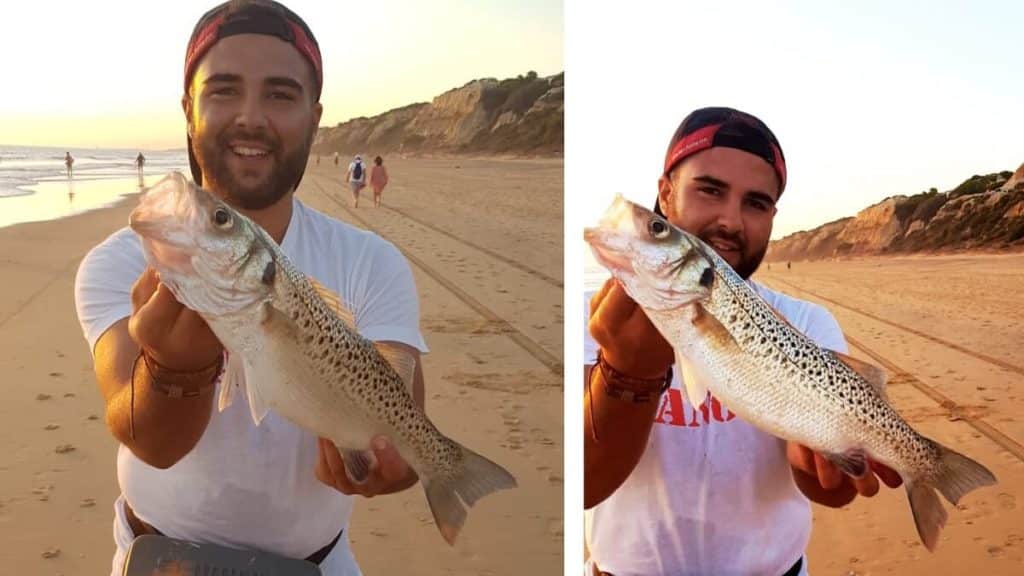 https://revistajaraysedal.es/wp-content/uploads/2021/08/pesca-galicia-puerto.jpg