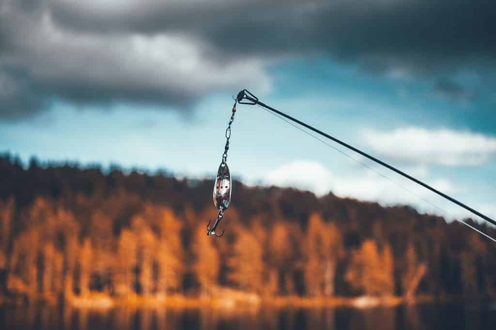 http://stag1.revistajaraysedal.es///wp-content/uploads/2021/08/pesca-galicia-puerto.jpg