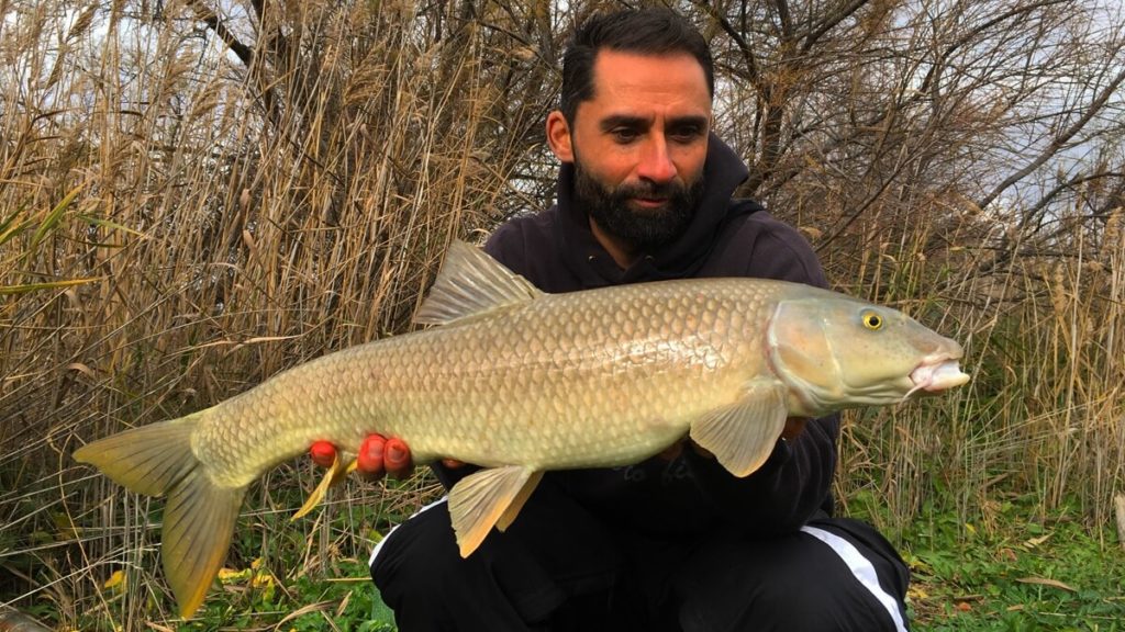 https://revistajaraysedal.es/wp-content/uploads/2021/08/pesca-galicia-puerto.jpg