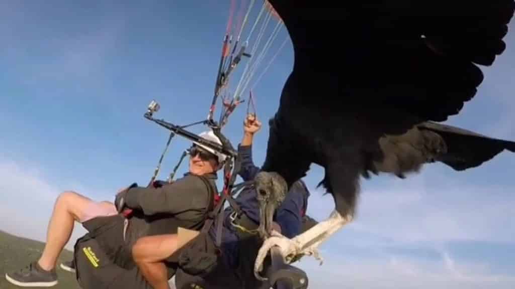 https://revistajaraysedal.es/wp-content/uploads/2021/08/pesca-galicia-puerto.jpg