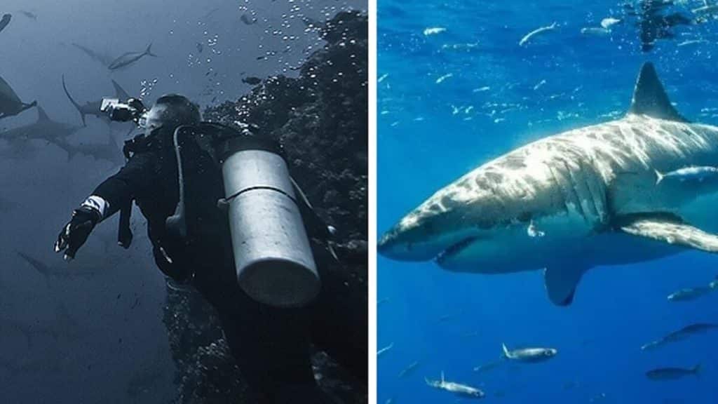 https://revistajaraysedal.es/wp-content/uploads/2021/08/pesca-galicia-puerto.jpg