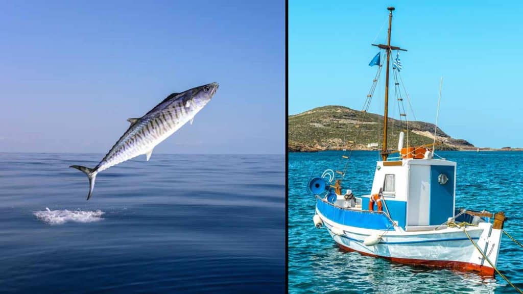https://revistajaraysedal.es/wp-content/uploads/2021/08/pesca-galicia-puerto.jpg