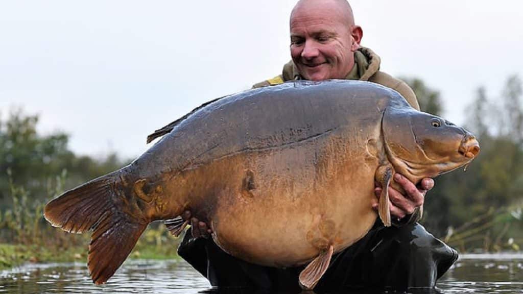 https://revistajaraysedal.es/wp-content/uploads/2021/08/pesca-galicia-puerto.jpg
