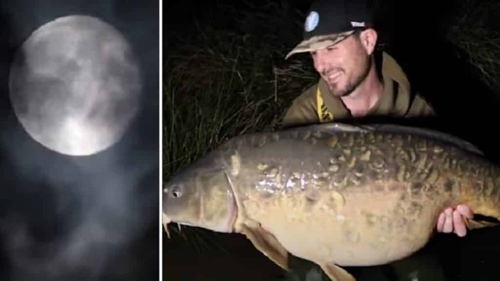 https://revistajaraysedal.es/wp-content/uploads/2021/08/pesca-galicia-puerto.jpg