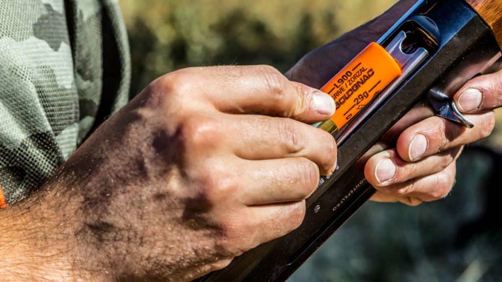 https://revistajaraysedal.es/wp-content/uploads/2021/08/pesca-galicia-puerto.jpg