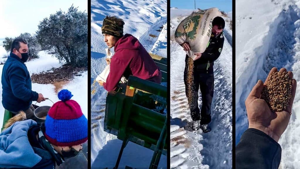 https://revistajaraysedal.es/wp-content/uploads/2021/08/pesca-galicia-puerto.jpg