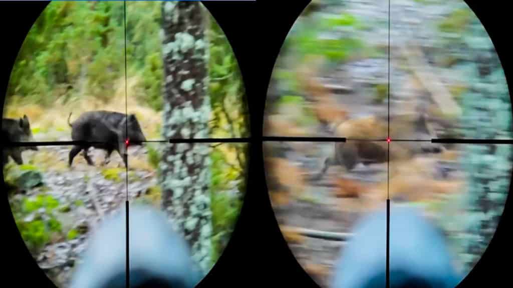 https://revistajaraysedal.es/wp-content/uploads/2021/08/pesca-galicia-puerto.jpg