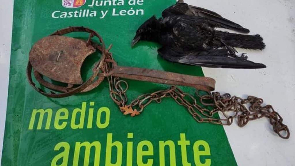 https://revistajaraysedal.es/wp-content/uploads/2021/08/pesca-galicia-puerto.jpg