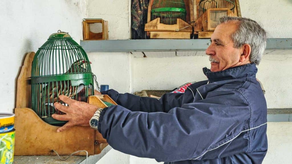 https://revistajaraysedal.es/wp-content/uploads/2021/08/pesca-galicia-puerto.jpg