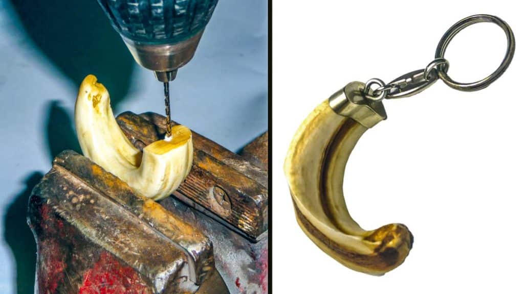 https://revistajaraysedal.es/wp-content/uploads/2021/08/pesca-galicia-puerto.jpg