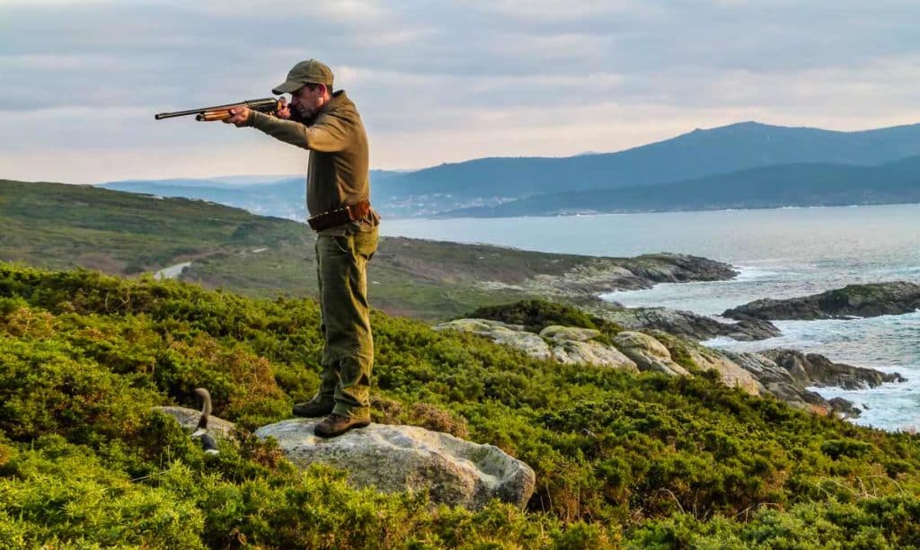 https://revistajaraysedal.es/wp-content/uploads/2021/08/pesca-galicia-puerto.jpg