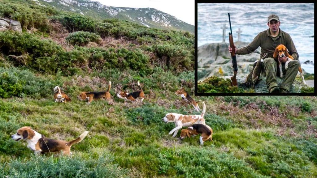 https://revistajaraysedal.es/wp-content/uploads/2021/08/pesca-galicia-puerto.jpg