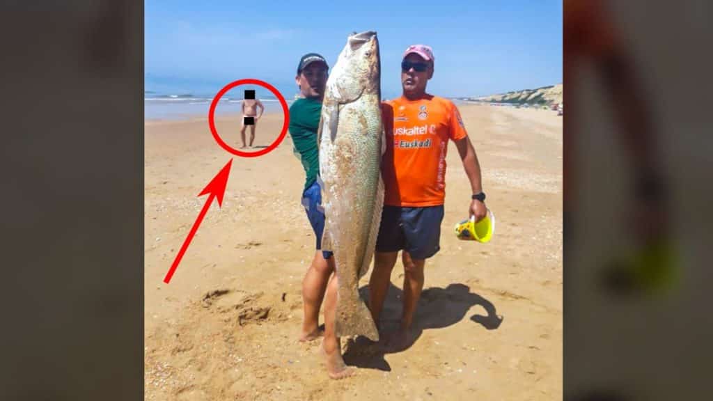 https://revistajaraysedal.es/wp-content/uploads/2021/08/pesca-galicia-puerto.jpg