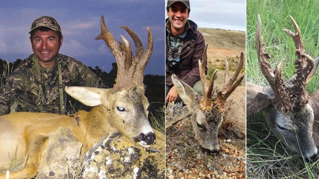 https://revistajaraysedal.es/wp-content/uploads/2021/08/pesca-galicia-puerto.jpg