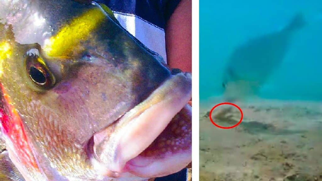 https://revistajaraysedal.es/wp-content/uploads/2021/08/pesca-galicia-puerto.jpg