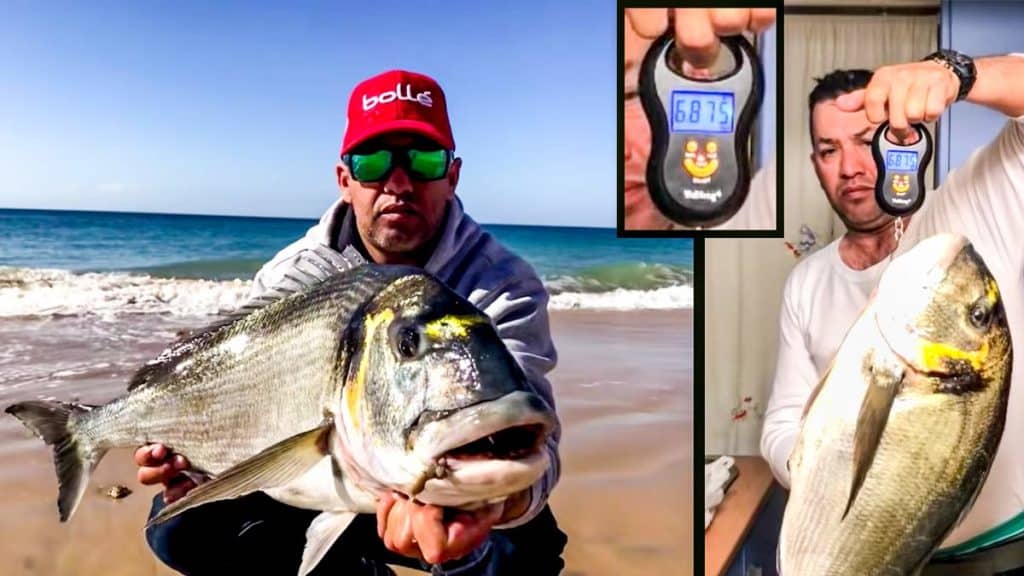 https://revistajaraysedal.es/wp-content/uploads/2021/08/pesca-galicia-puerto.jpg