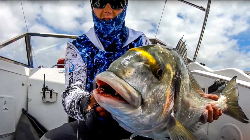 https://revistajaraysedal.es/wp-content/uploads/2021/08/pesca-galicia-puerto.jpg