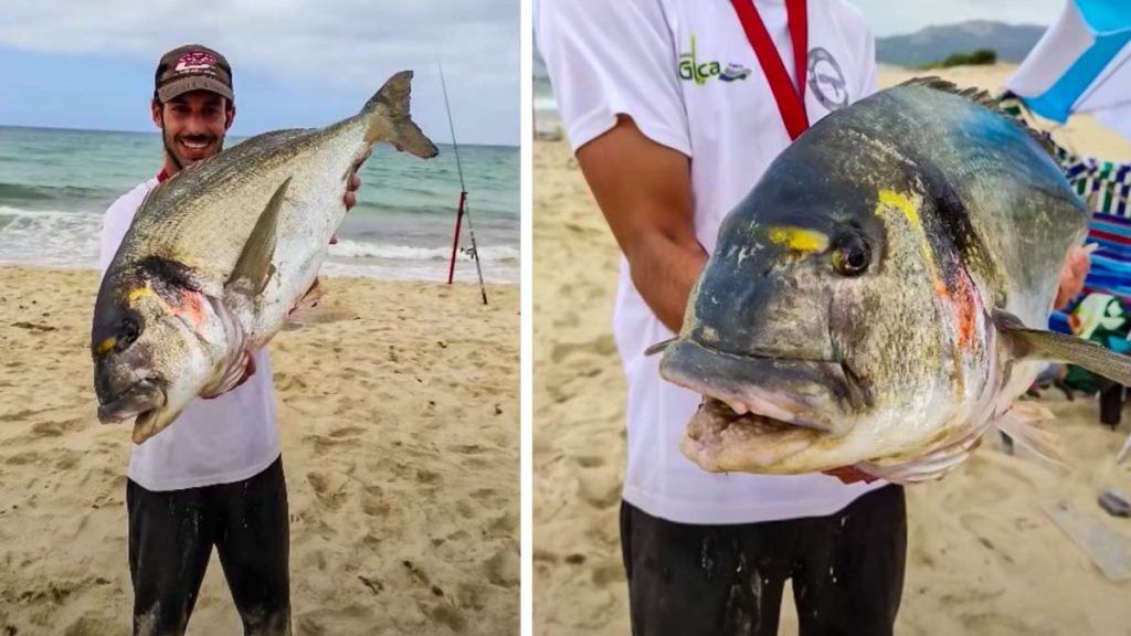https://revistajaraysedal.es/wp-content/uploads/2021/08/pesca-galicia-puerto.jpg