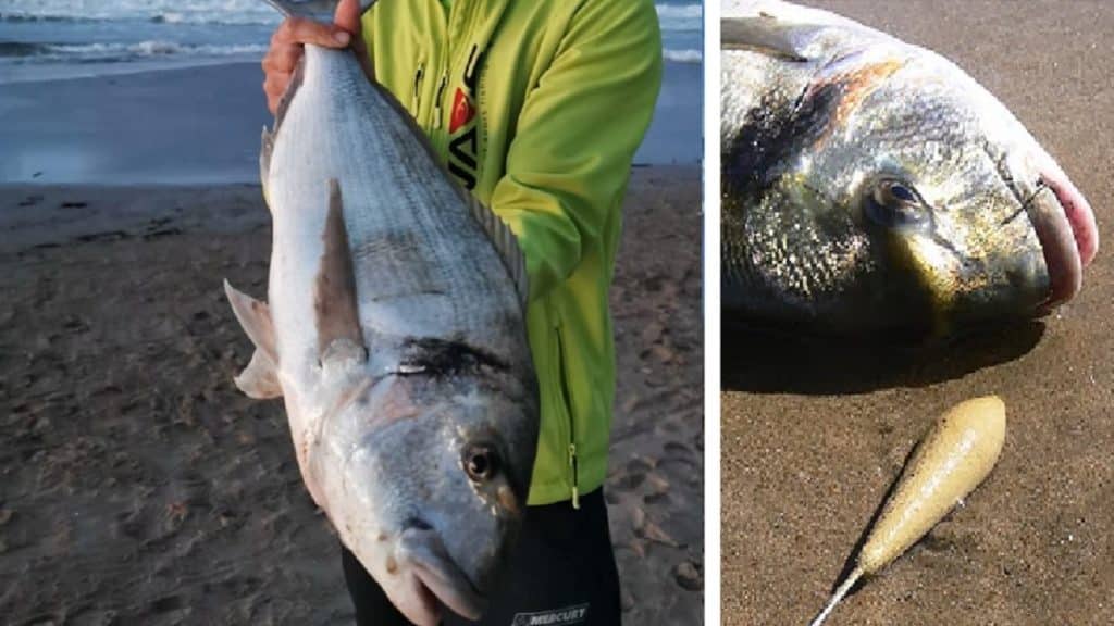 https://revistajaraysedal.es/wp-content/uploads/2021/08/pesca-galicia-puerto.jpg