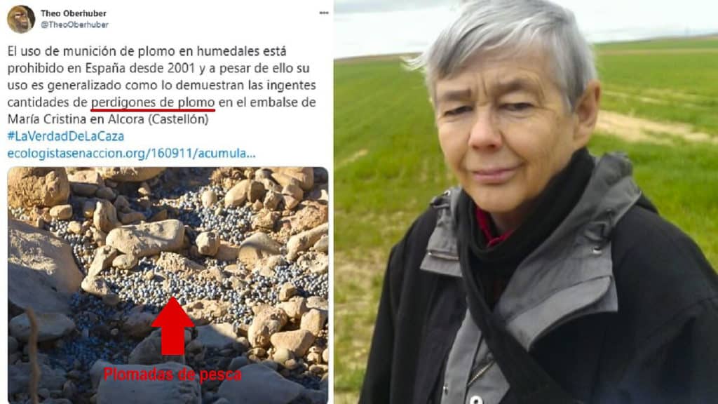 https://revistajaraysedal.es/wp-content/uploads/2021/08/pesca-galicia-puerto.jpg