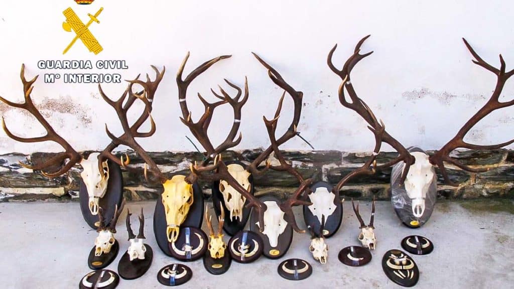 https://revistajaraysedal.es/wp-content/uploads/2021/08/pesca-galicia-puerto.jpg