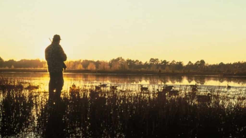https://revistajaraysedal.es/wp-content/uploads/2021/08/pesca-galicia-puerto.jpg