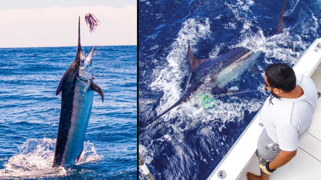 https://revistajaraysedal.es/wp-content/uploads/2021/08/pesca-galicia-puerto.jpg
