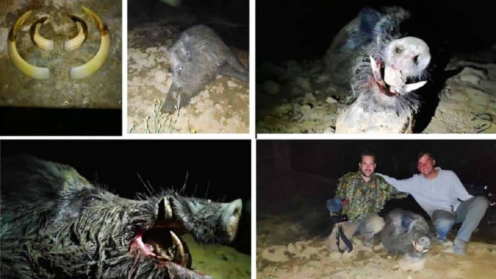 https://revistajaraysedal.es/wp-content/uploads/2021/08/pesca-galicia-puerto.jpg
