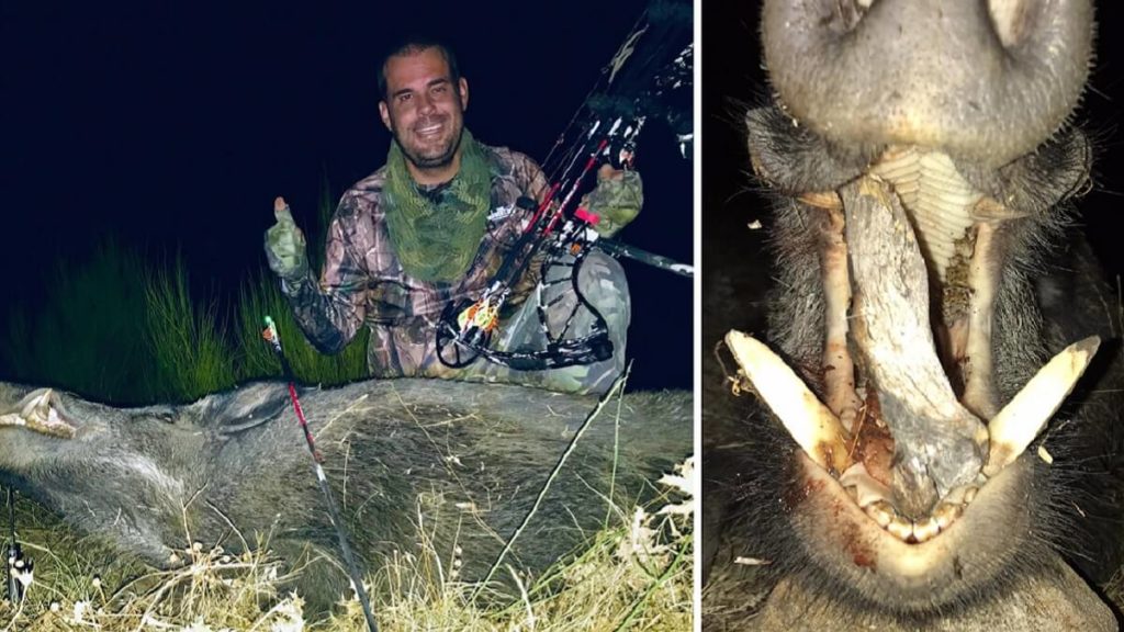 https://revistajaraysedal.es/wp-content/uploads/2021/08/pesca-galicia-puerto.jpg