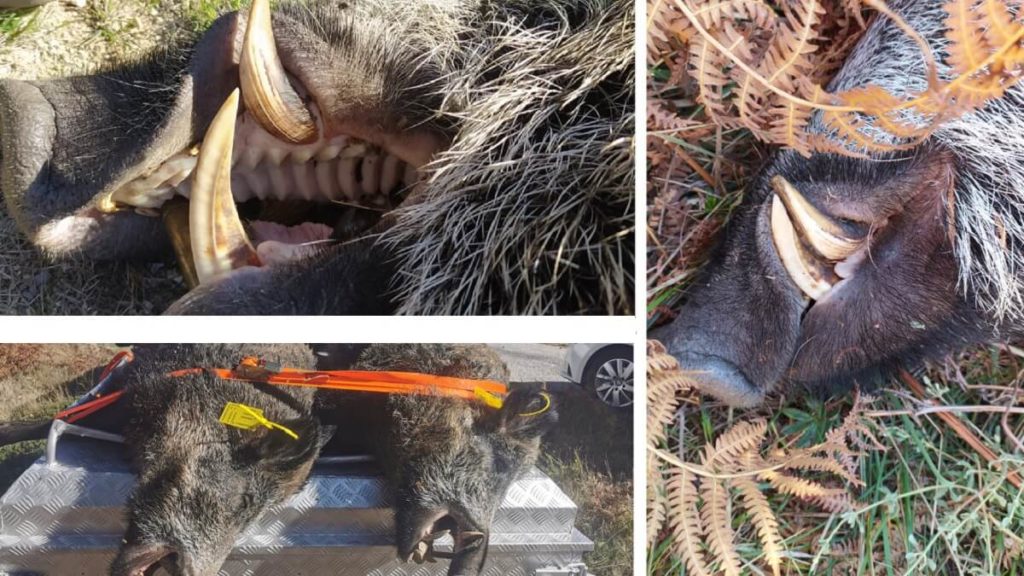 https://revistajaraysedal.es/wp-content/uploads/2021/08/pesca-galicia-puerto.jpg