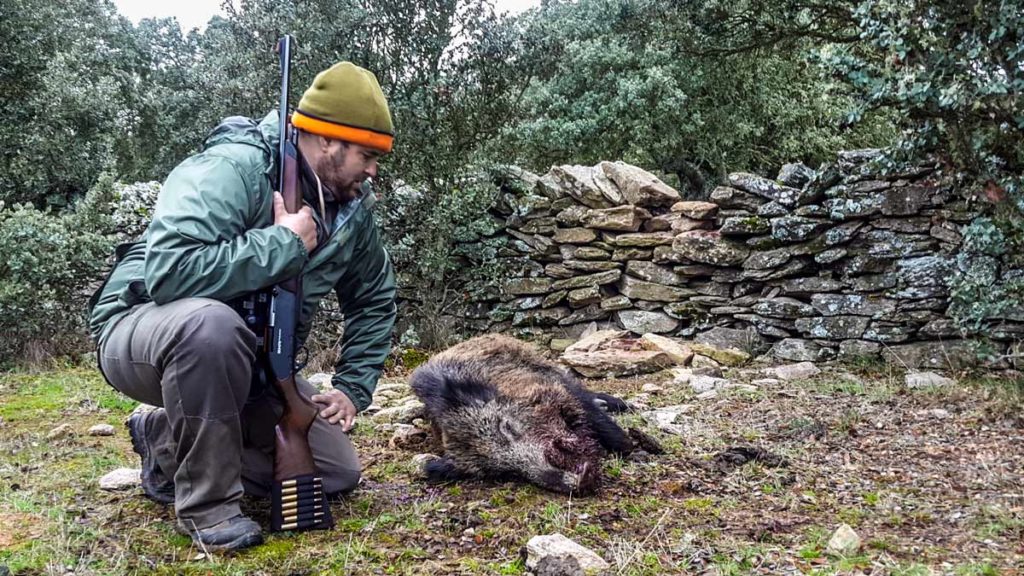 https://revistajaraysedal.es/wp-content/uploads/2021/08/pesca-galicia-puerto.jpg