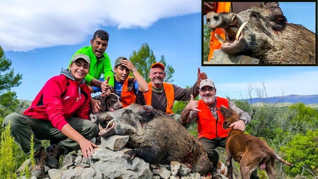 https://revistajaraysedal.es/wp-content/uploads/2021/08/pesca-galicia-puerto.jpg