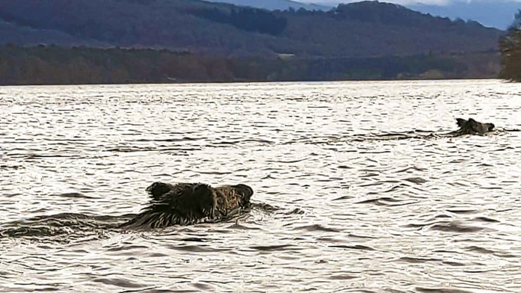 https://revistajaraysedal.es/wp-content/uploads/2021/08/pesca-galicia-puerto.jpg