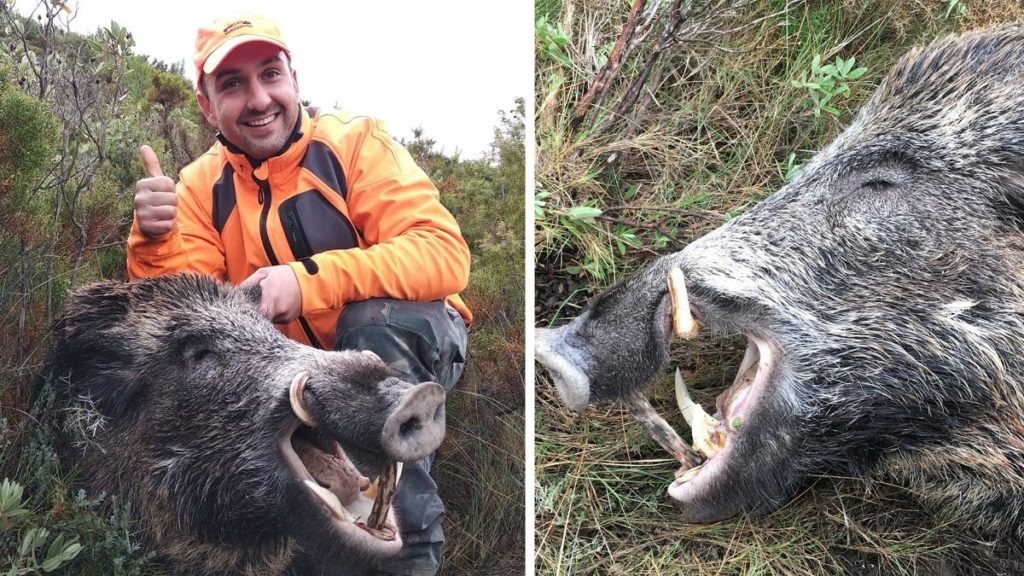 https://revistajaraysedal.es/wp-content/uploads/2021/08/pesca-galicia-puerto.jpg