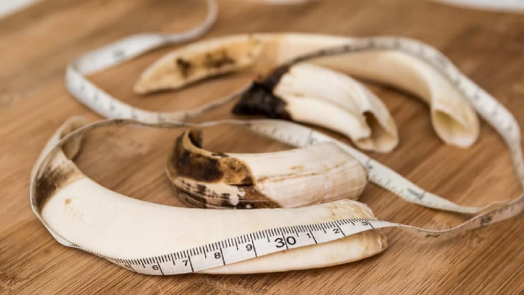 https://revistajaraysedal.es/wp-content/uploads/2021/08/pesca-galicia-puerto.jpg