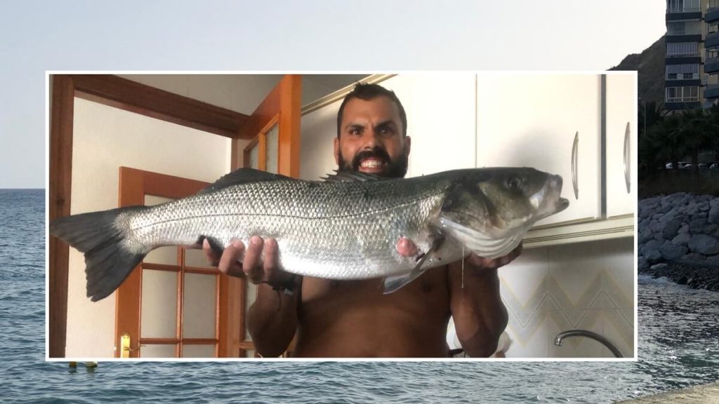 https://revistajaraysedal.es/wp-content/uploads/2021/08/pesca-galicia-puerto.jpg