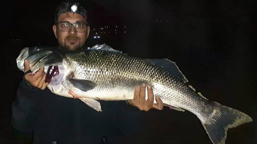 https://revistajaraysedal.es/wp-content/uploads/2021/08/pesca-galicia-puerto.jpg