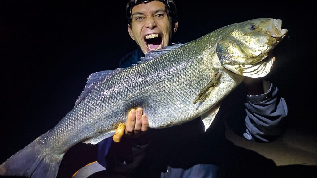 https://revistajaraysedal.es/wp-content/uploads/2021/08/pesca-galicia-puerto.jpg